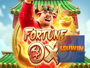 SEUWIN login — painel de entrada no app oficial