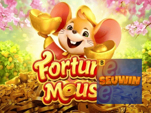 SEUWIN login — configurações de segurança e proteção de conta